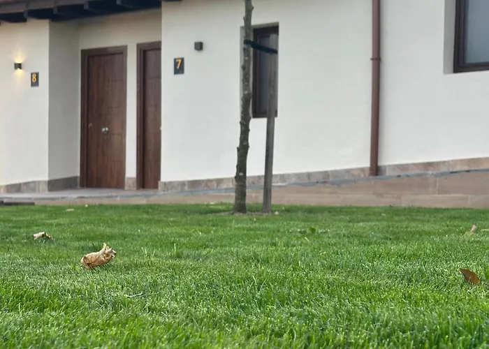 Apartamentos Cottage Faro de Arriba